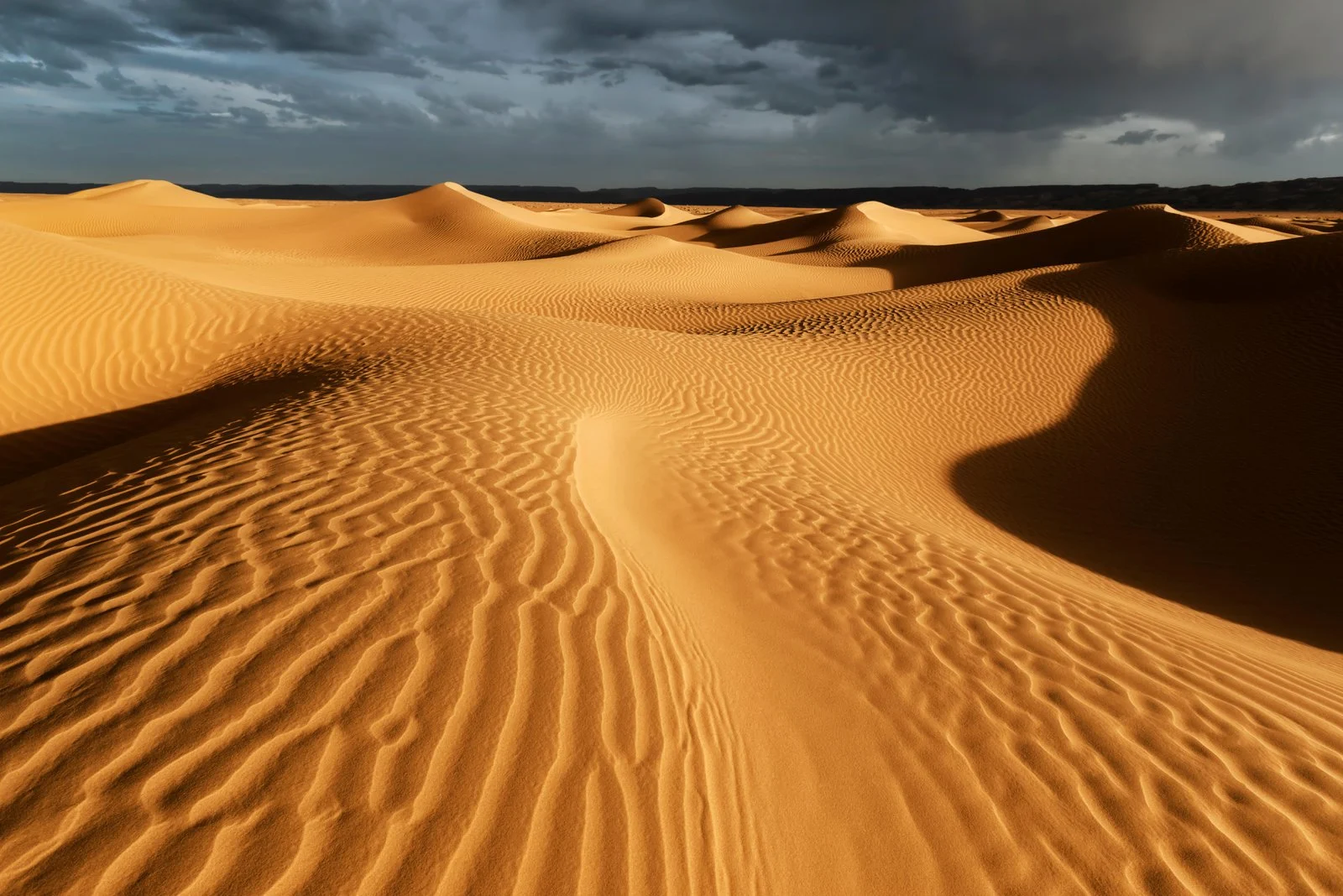 تفسير حلم الصحراء