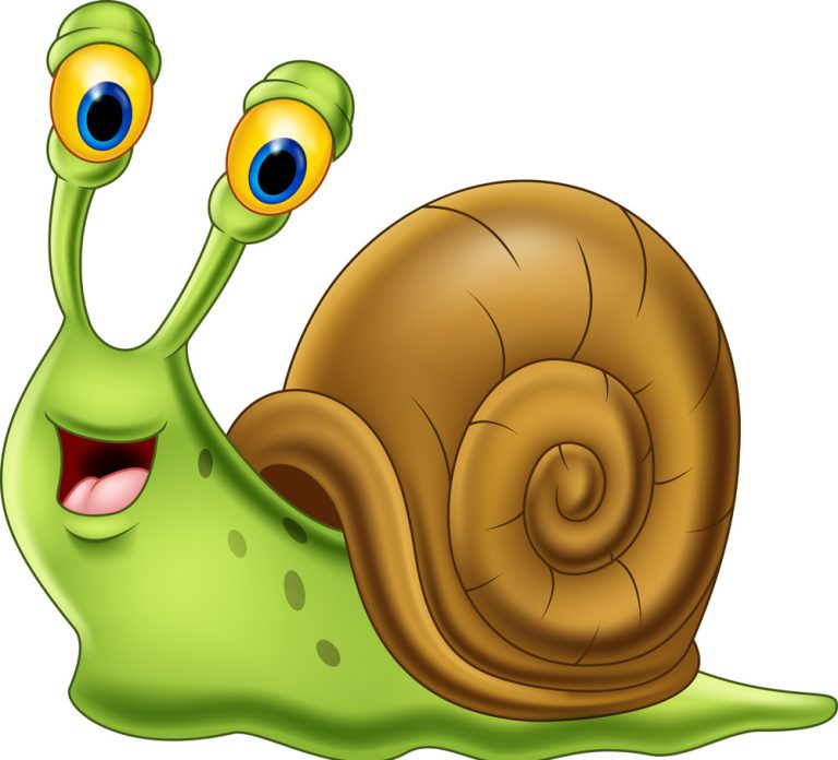 الحلزون في المنام