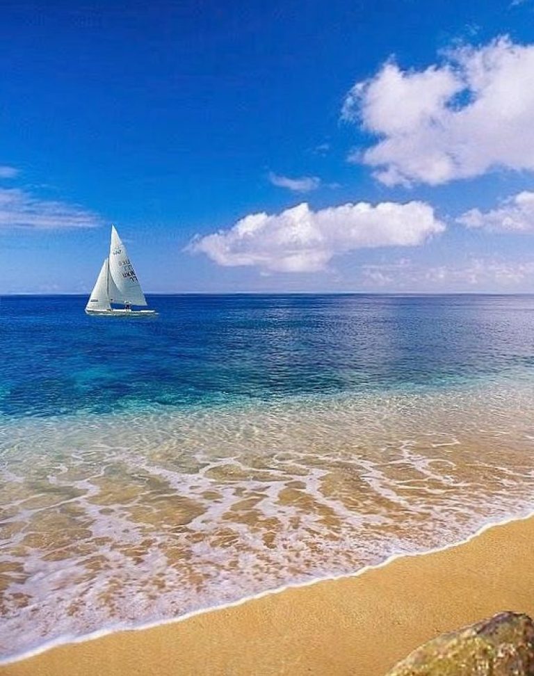 الشاطئ في المنام