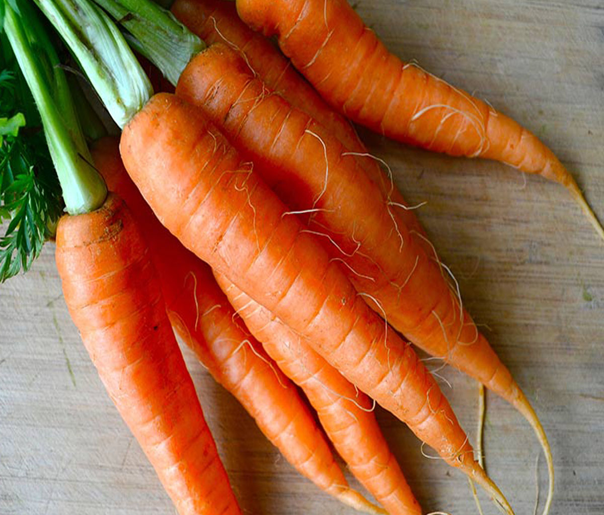 სტაფილო სიზმარში