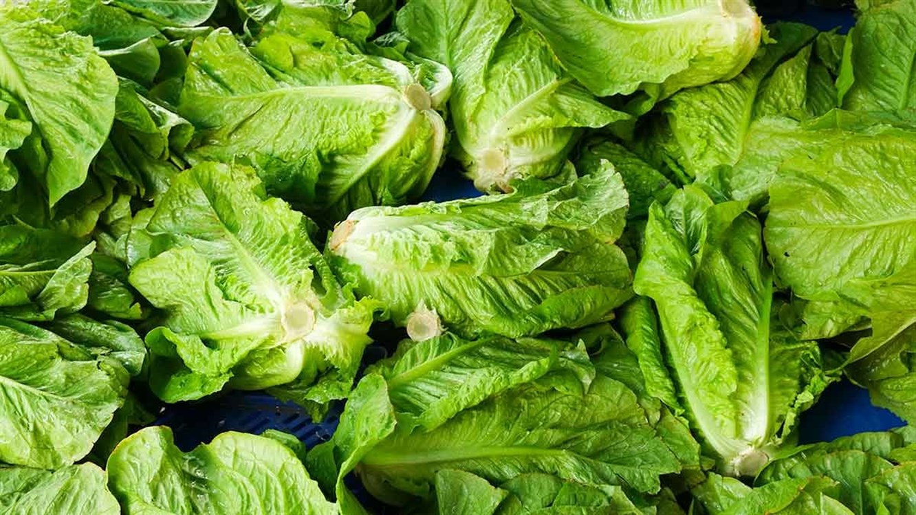 სიზმარში სალათის დანახვა