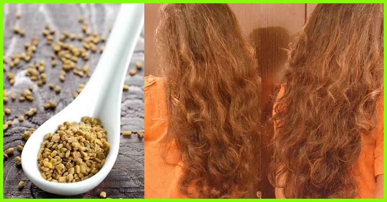 من جربت الحلبة للشعر