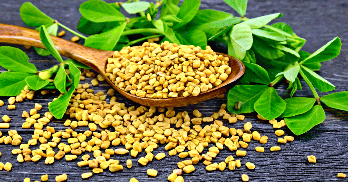 من جربت الحلبة للشعر