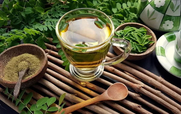 شاي غصن البان