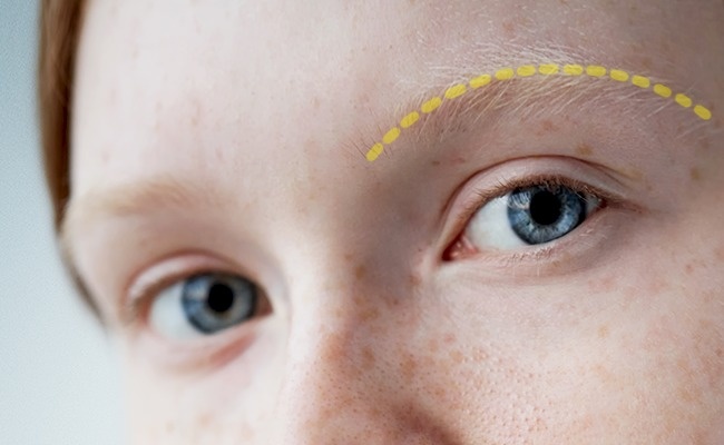 انواع الحواجب