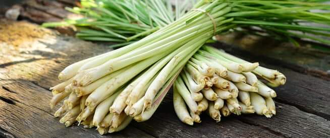 تجربتي مع عشبة الحلفاء للتنحيف