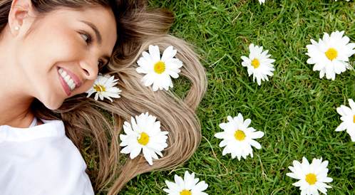 البابونج للشعر تجربتي