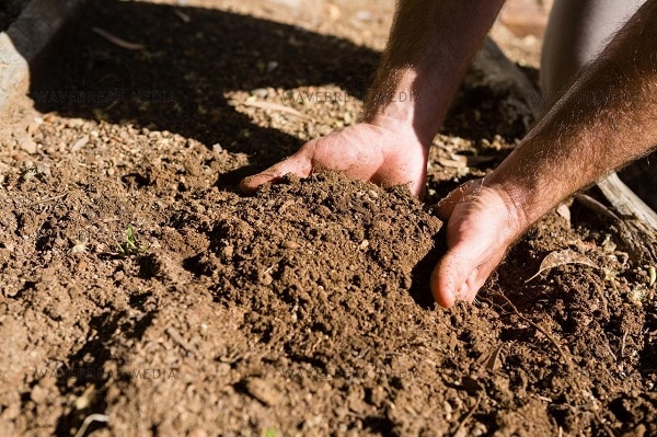 تفسير حلم الحفر في الارض
