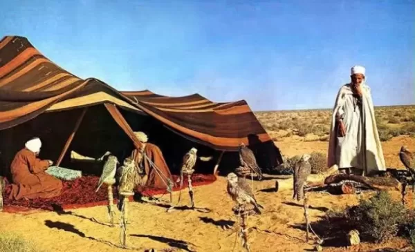 تفسير حلم شيخ القبيلة في المنام لابن سيرين