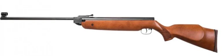 البندقية في المنام