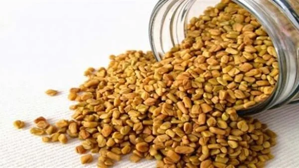 الحلم بالحلبة