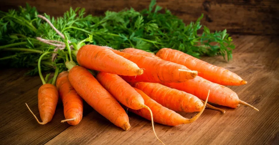 الحلم بالجزر في المنام