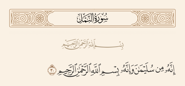 سورة النمل في المنام