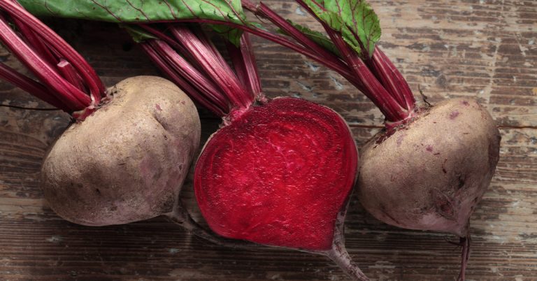 الشمندر في المنام